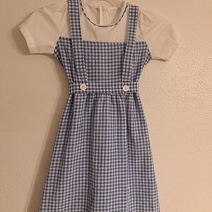 Blue and White Gingham Dress
